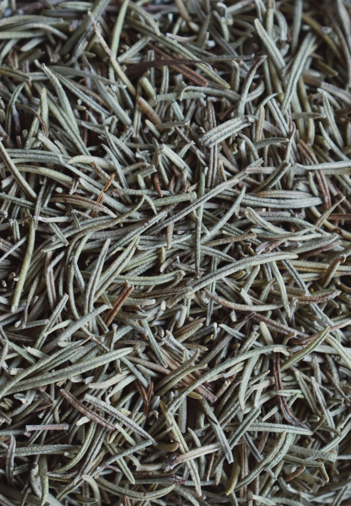 Romarin séché en vrac, aiguilles vert-de-gris et brunes, texture naturelle.